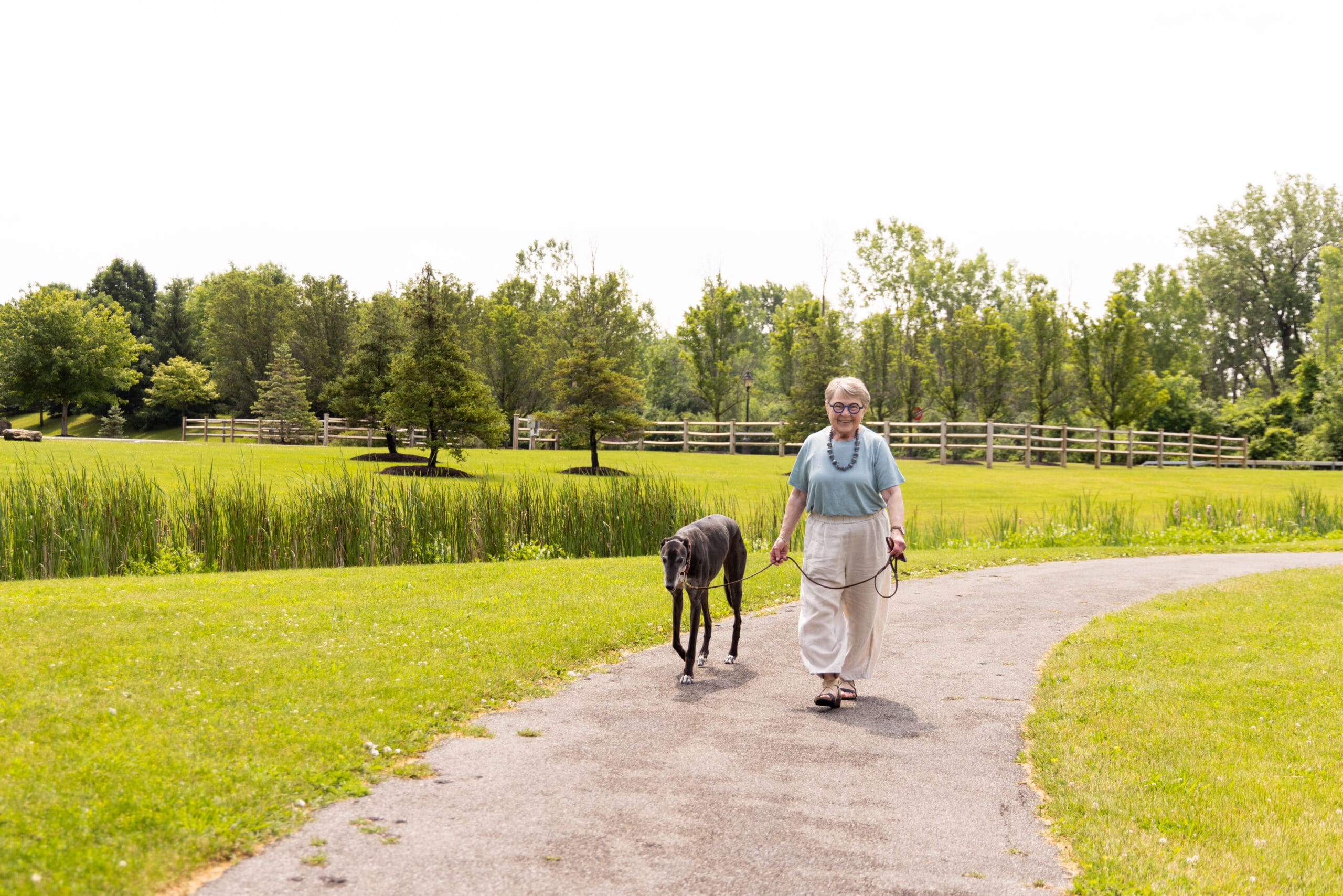 Man walking his dog at Canterbury Woods to practice mindfulness activities for seniors.